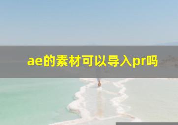 ae的素材可以导入pr吗