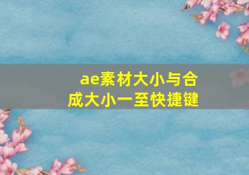 ae素材大小与合成大小一至快捷键