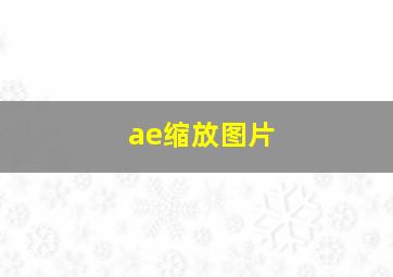 ae缩放图片