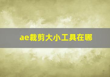 ae裁剪大小工具在哪