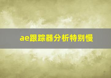 ae跟踪器分析特别慢