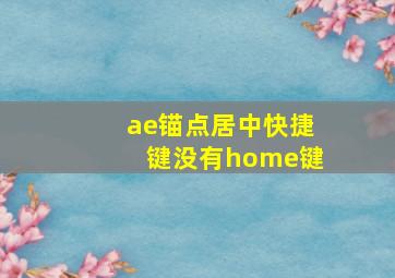 ae锚点居中快捷键没有home键