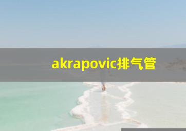 akrapovic排气管