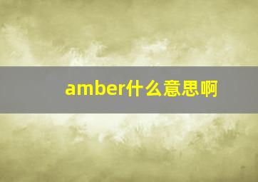 amber什么意思啊