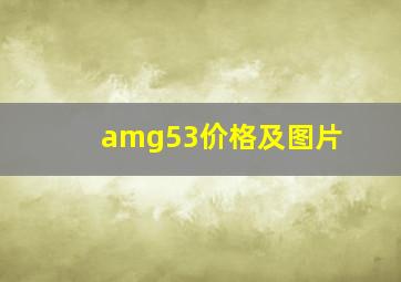 amg53价格及图片