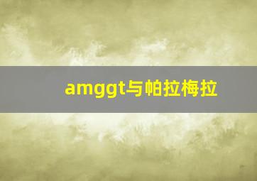 amggt与帕拉梅拉