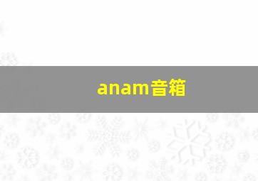 anam音箱