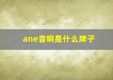 ane音响是什么牌子