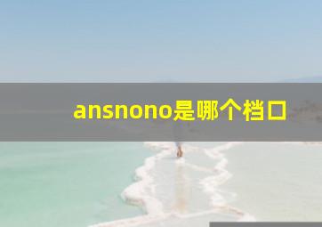 ansnono是哪个档口