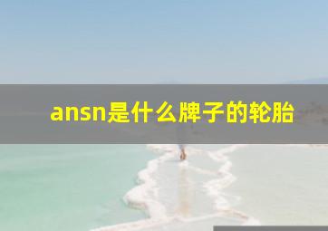 ansn是什么牌子的轮胎