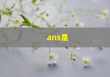 ans是