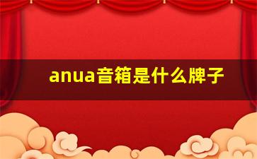 anua音箱是什么牌子