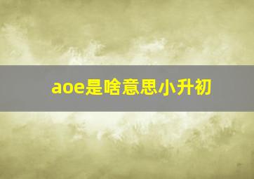 aoe是啥意思小升初