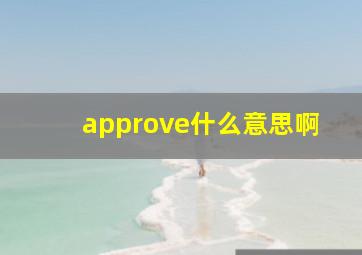 approve什么意思啊