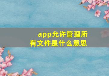 app允许管理所有文件是什么意思