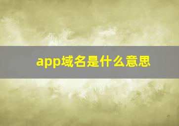 app域名是什么意思