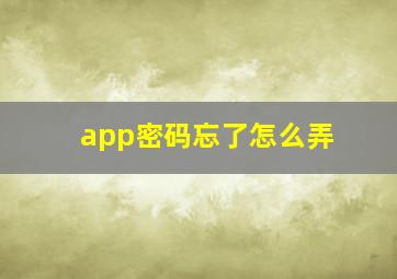 app密码忘了怎么弄