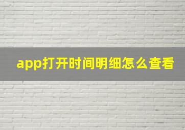 app打开时间明细怎么查看