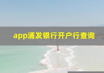 app浦发银行开户行查询