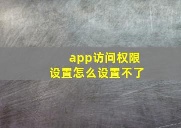 app访问权限设置怎么设置不了