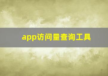 app访问量查询工具