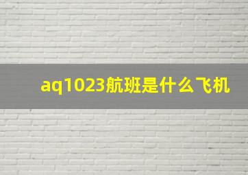 aq1023航班是什么飞机