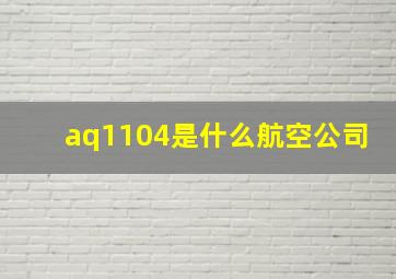 aq1104是什么航空公司