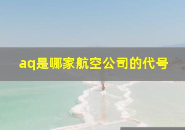 aq是哪家航空公司的代号