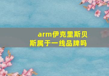 arm伊克里斯贝斯属于一线品牌吗