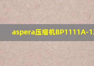 aspera压缩机BP1111A-122DA07