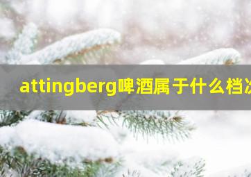 attingberg啤酒属于什么档次