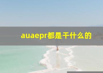 auaepr都是干什么的