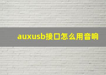 auxusb接口怎么用音响