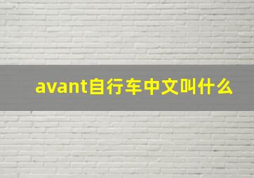 avant自行车中文叫什么