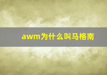 awm为什么叫马格南