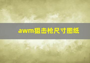 awm狙击枪尺寸图纸