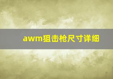 awm狙击枪尺寸详细