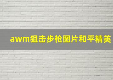 awm狙击步枪图片和平精英