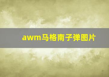 awm马格南子弹图片