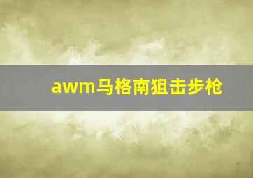 awm马格南狙击步枪