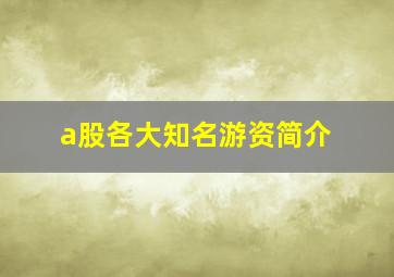 a股各大知名游资简介