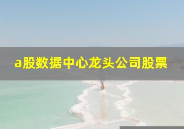 a股数据中心龙头公司股票