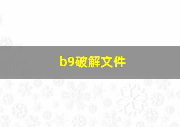 b9破解文件