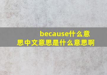 because什么意思中文意思是什么意思啊