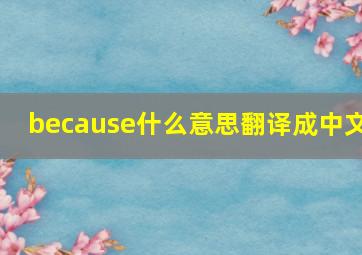 because什么意思翻译成中文