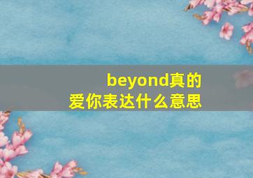 beyond真的爱你表达什么意思