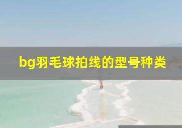 bg羽毛球拍线的型号种类