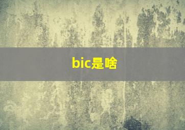 bic是啥