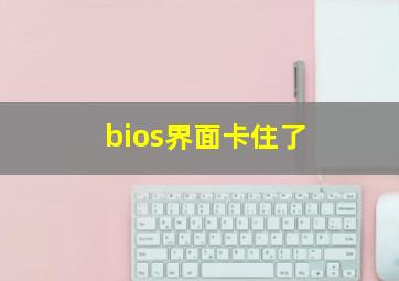 bios界面卡住了