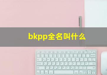 bkpp全名叫什么